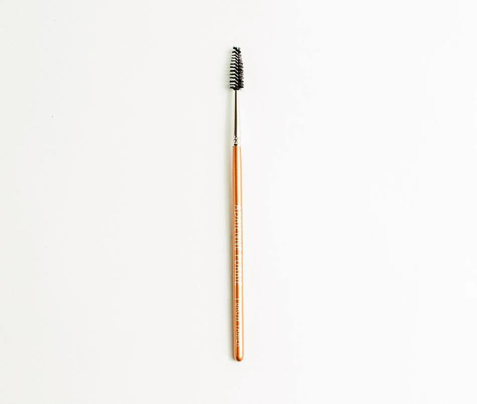 10 Piece Brush Set