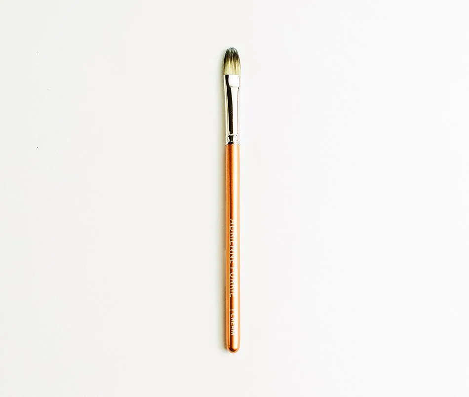 10 Piece Brush Set