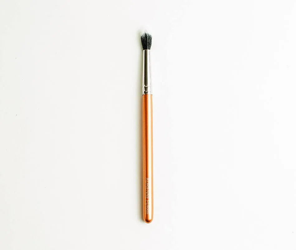 10 Piece Brush Set