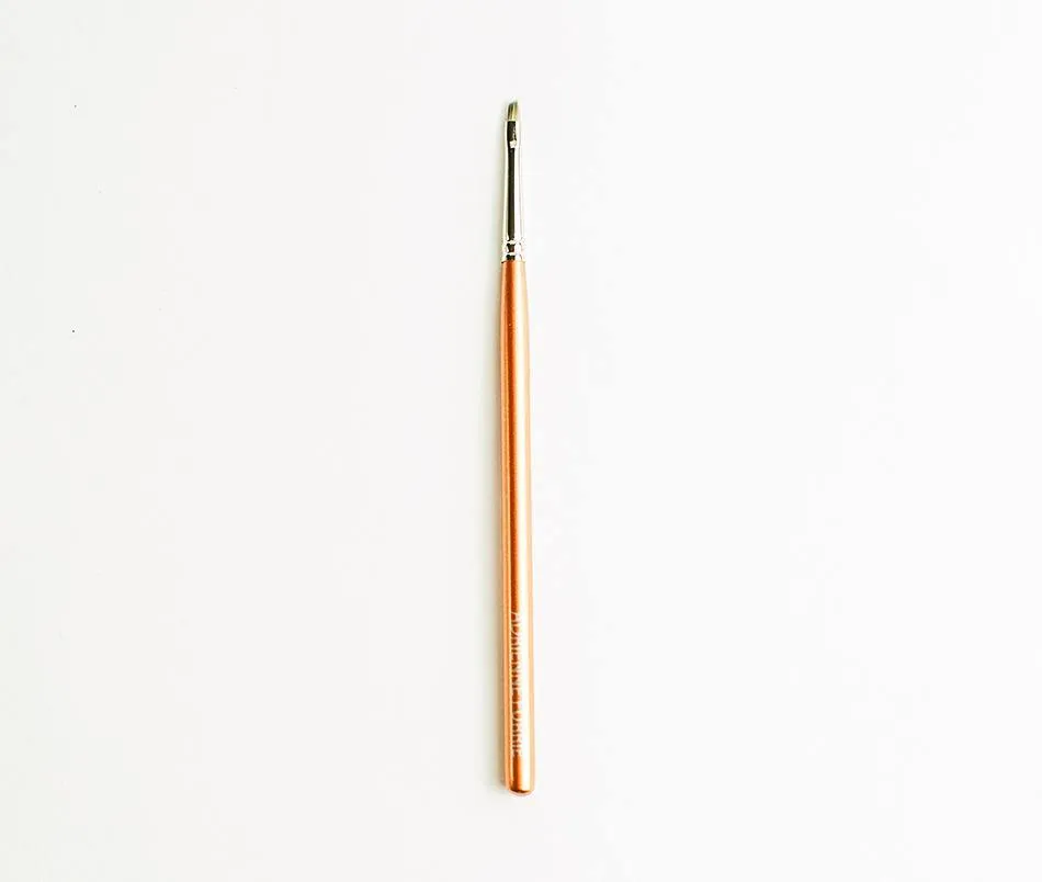 10 Piece Brush Set