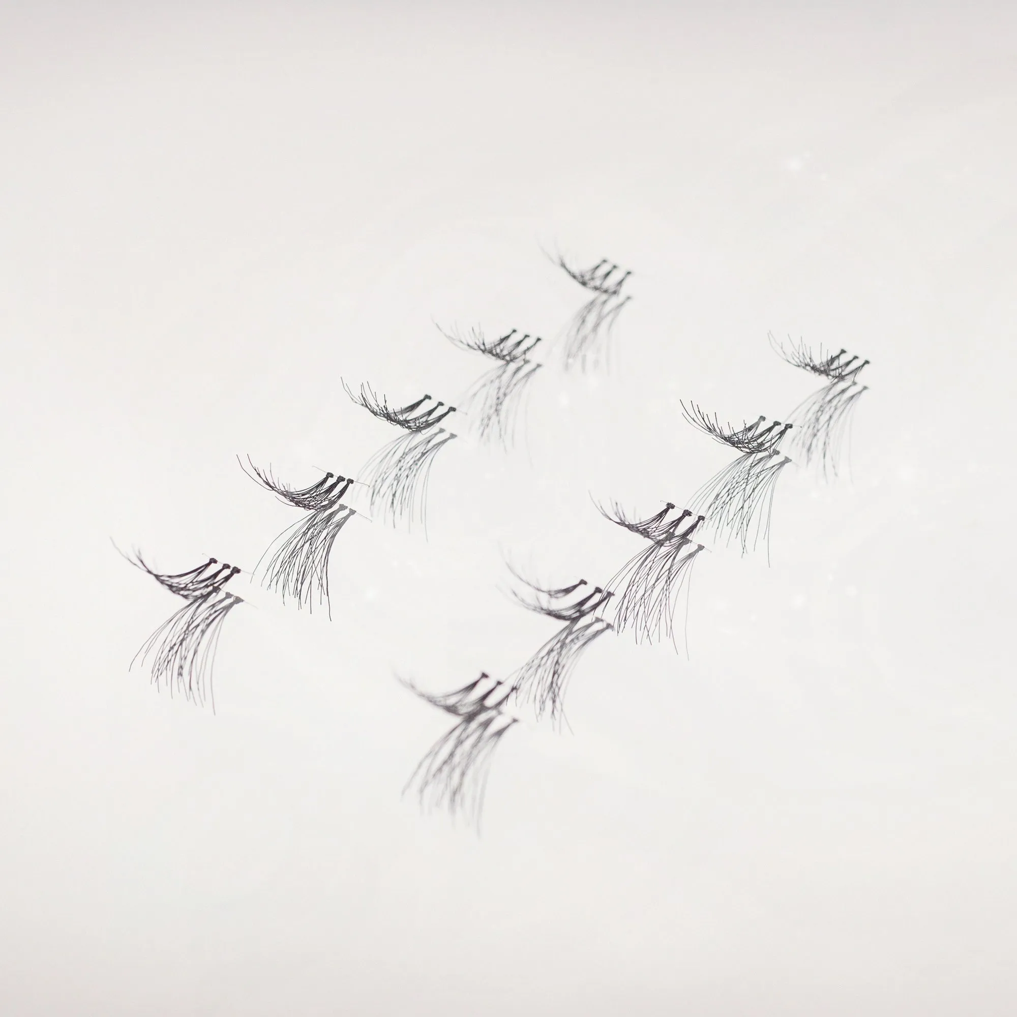 3x Cluster Lashes