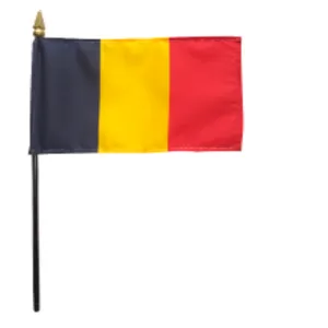 4x6" Chad Stick Flag
