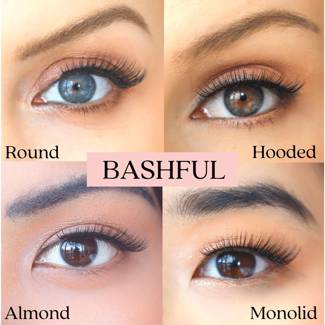 Bashful Magnetic Lash