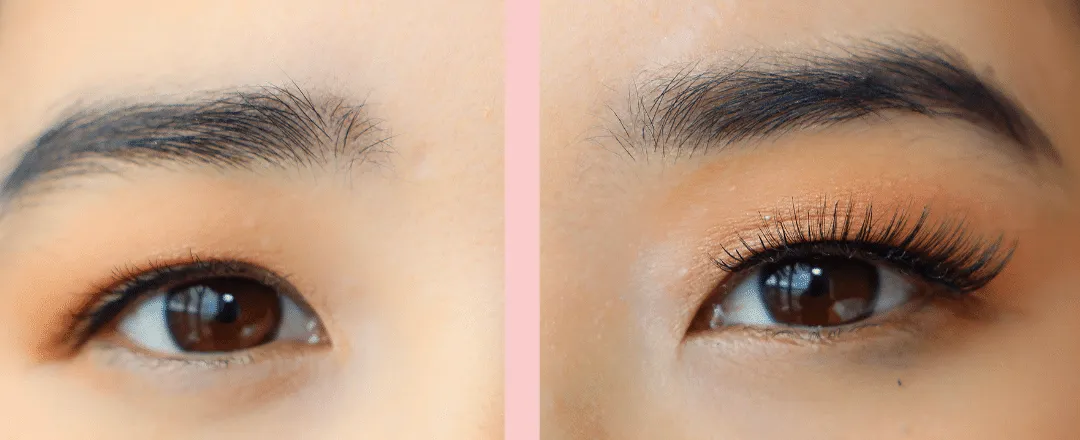 Bashful Magnetic Lash