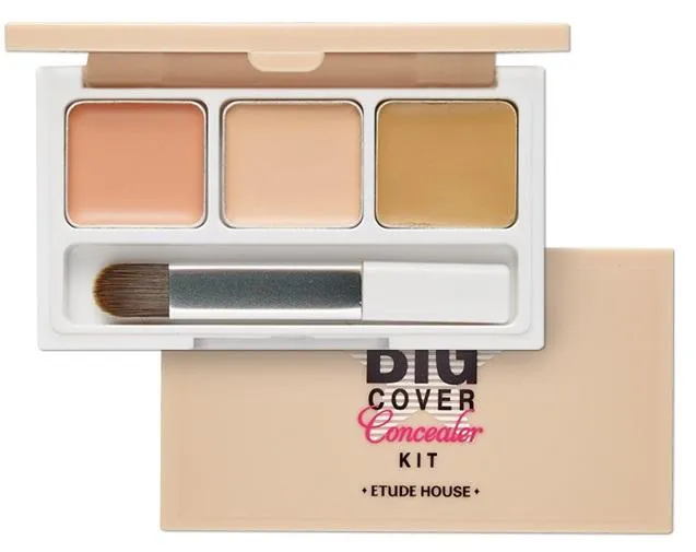 Big Cover Concealer Kit