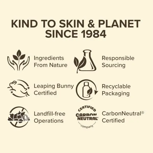 Burt's Bees 100% natural origin moisturizing Tinted Lip Balm, Daisy with Shea Butter-1 Tube 1 count