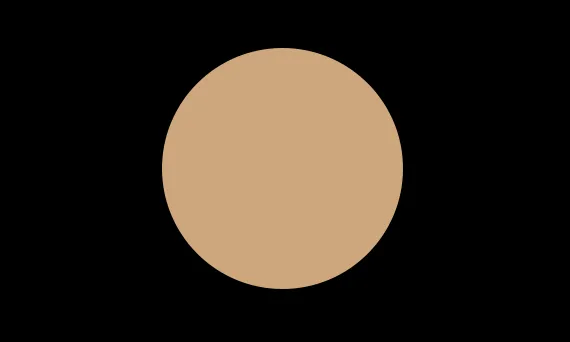 C8 WARM YELLOW TRANSLUCENT POWDER