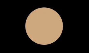 C8 WARM YELLOW TRANSLUCENT POWDER