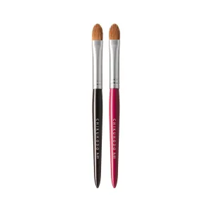 Chikuhodo Eyeshadow Brush, Regular Series (R-S9 Black / RR-S9 Red)