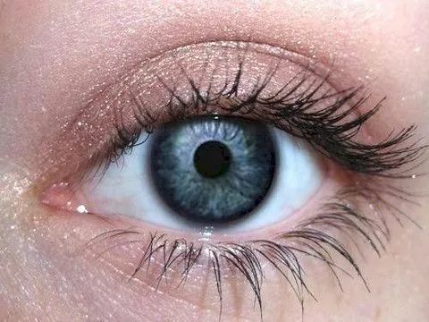 Chocolate Frosting Eyeshadow