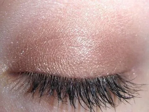 Chocolate Frosting Eyeshadow