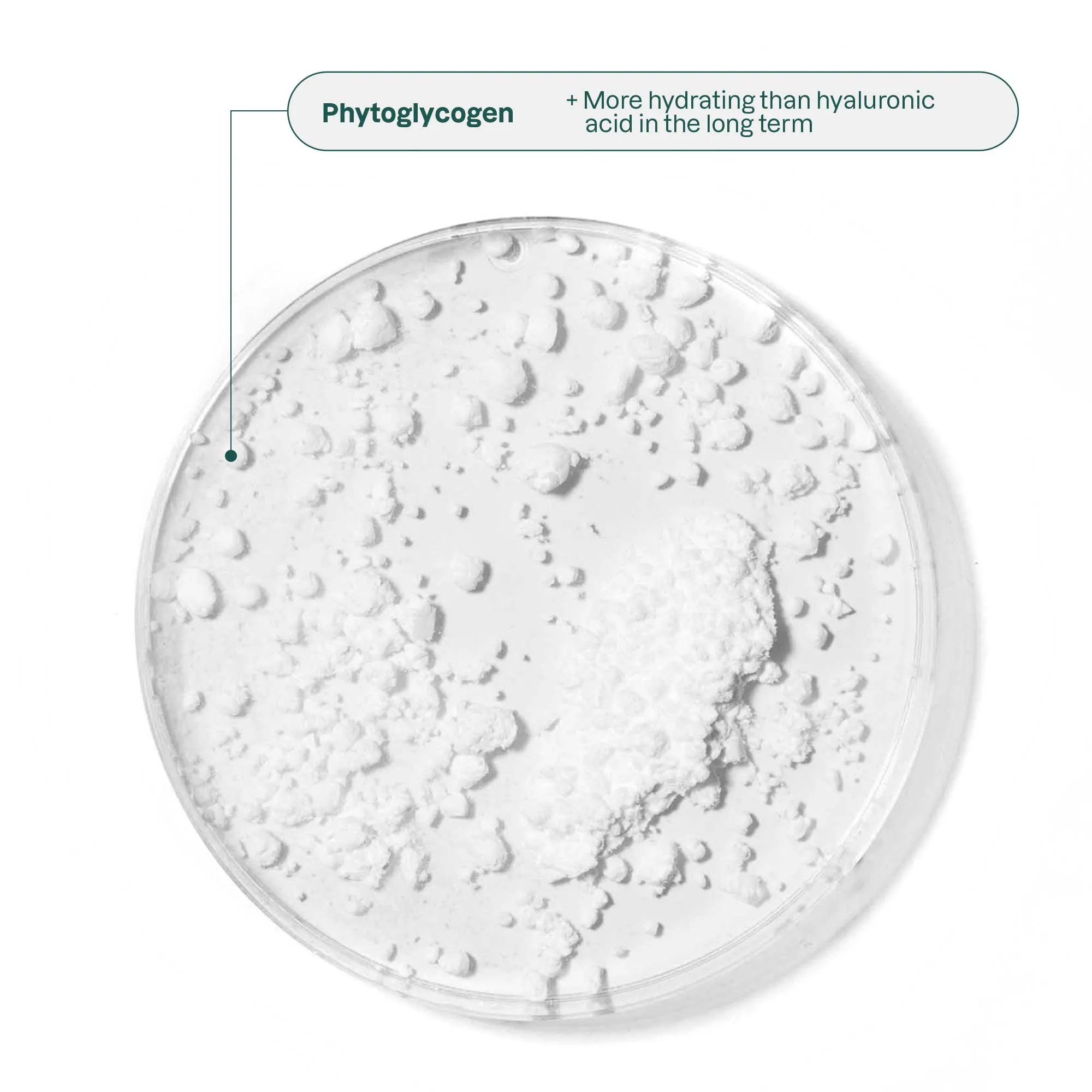 Cream Highlighter Stick : Oceanly – Makeup