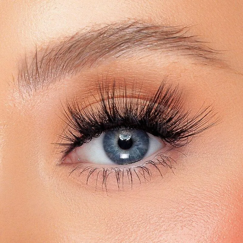 Daggers Lash