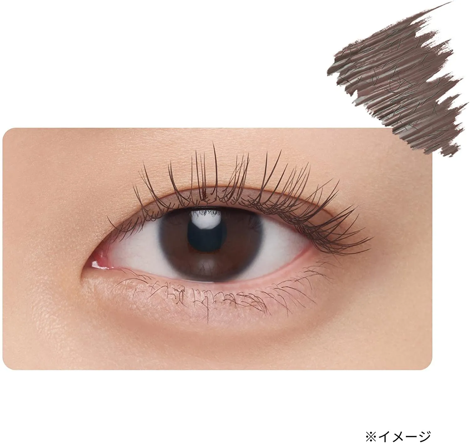 ETTUSAIS Eye Edition Mascara Base #Mocha Brown