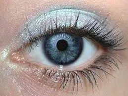 Eucalyptus Eyeshadow