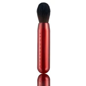 Face Brush