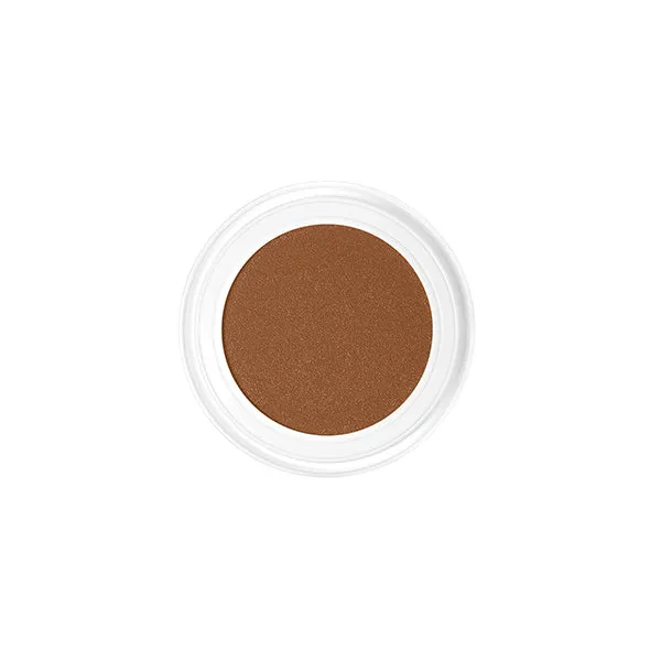 Future Skin Cushion Foundation