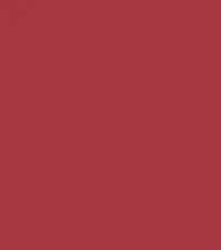 Guerniss Velvet Matte Lipstick (3.5gm)