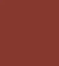 Guerniss Velvet Matte Lipstick (3.5gm)