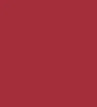 Guerniss Velvet Matte Lipstick (3.5gm)
