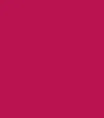 Guerniss Velvet Matte Lipstick (3.5gm)