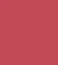 Guerniss Velvet Matte Lipstick (3.5gm)
