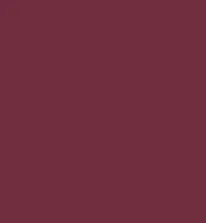 Guerniss Velvet Matte Lipstick (3.5gm)