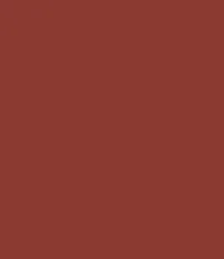 Guerniss Velvet Matte Lipstick (3.5gm)