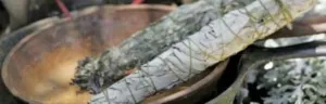 Handmade Natural Wild Smudge Sticks