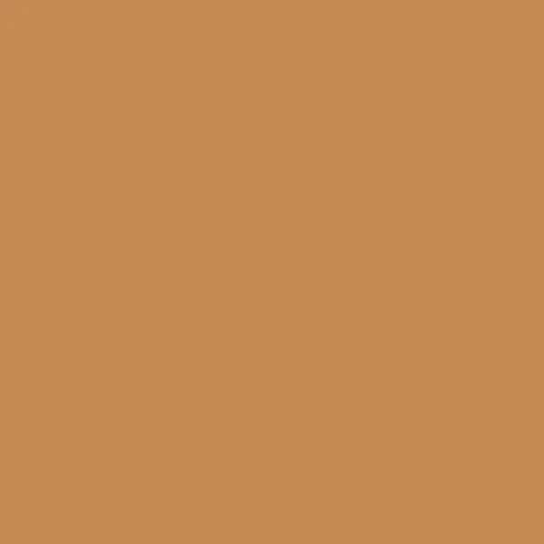 Japonesque Velvet Touch Concealer