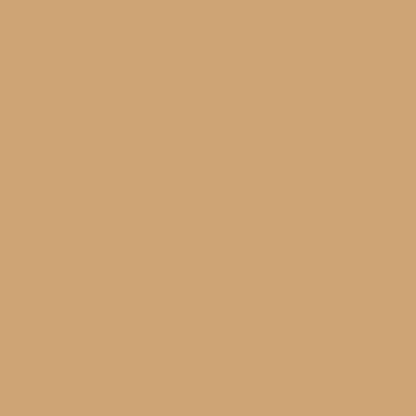 Japonesque Velvet Touch Concealer