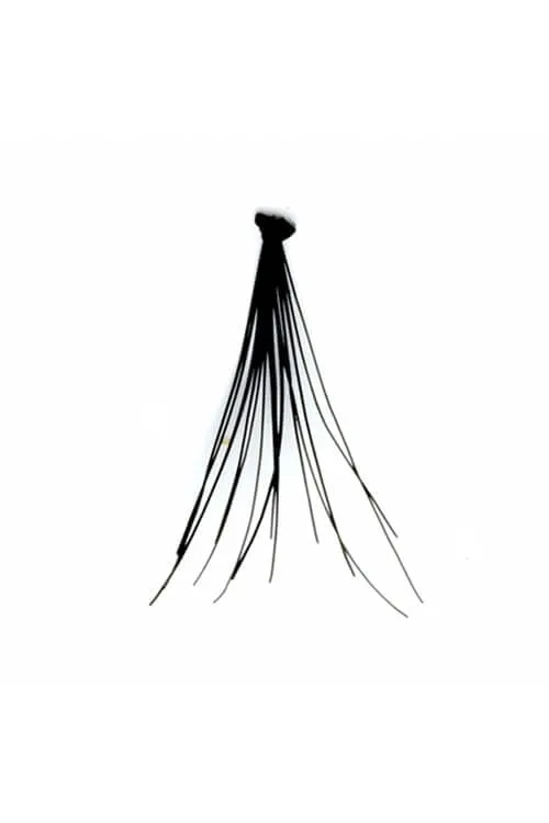 Kiss i-Envy Luxe Black Knotted Individual Lashes