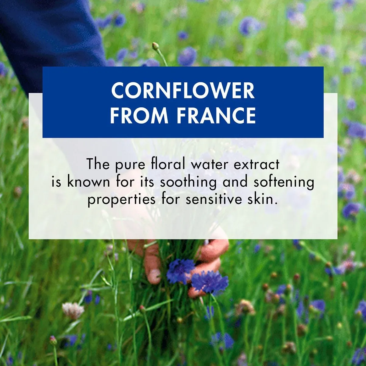 Klorane Make-Up Remover Biodegradable Wipes with Soothing Cornflower