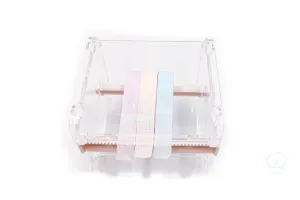 Lash Tape Dispenser