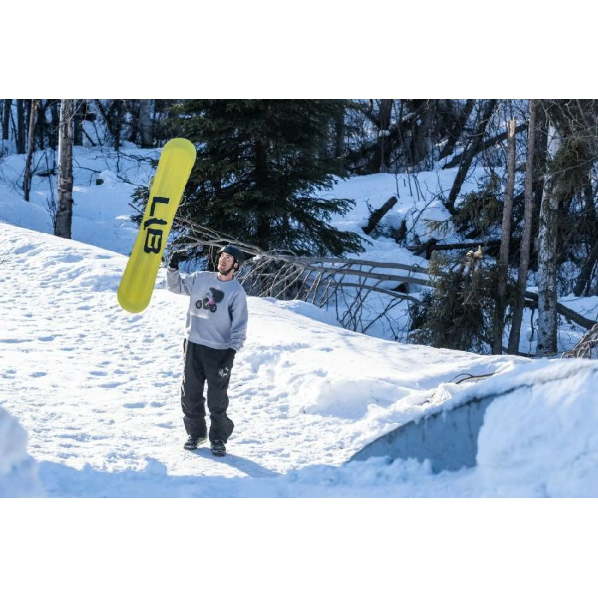 Lib Tech Skate Banana Snowboard 2025