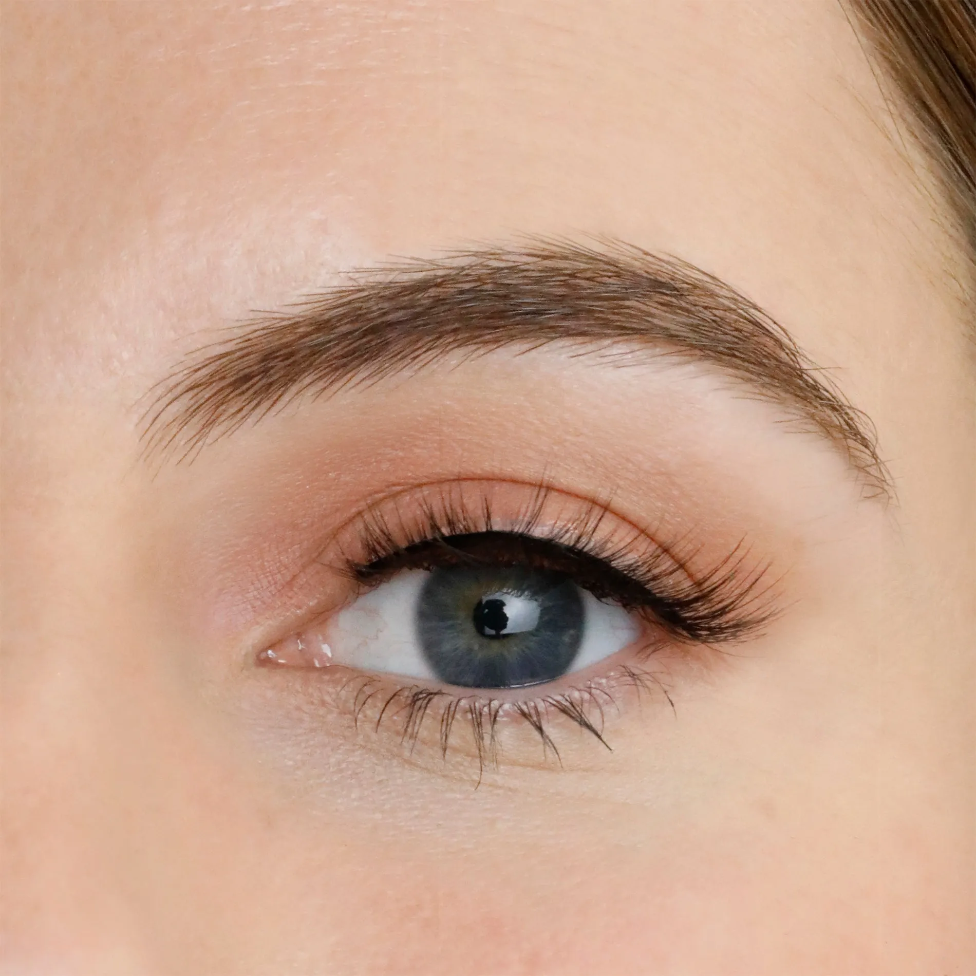 Lola's Lashes Magnetic Lashes - Zodiac