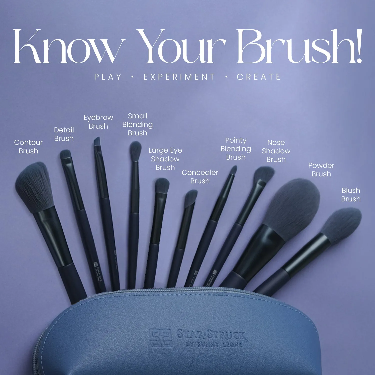 Makeup brush set of 10 with FREE pouch