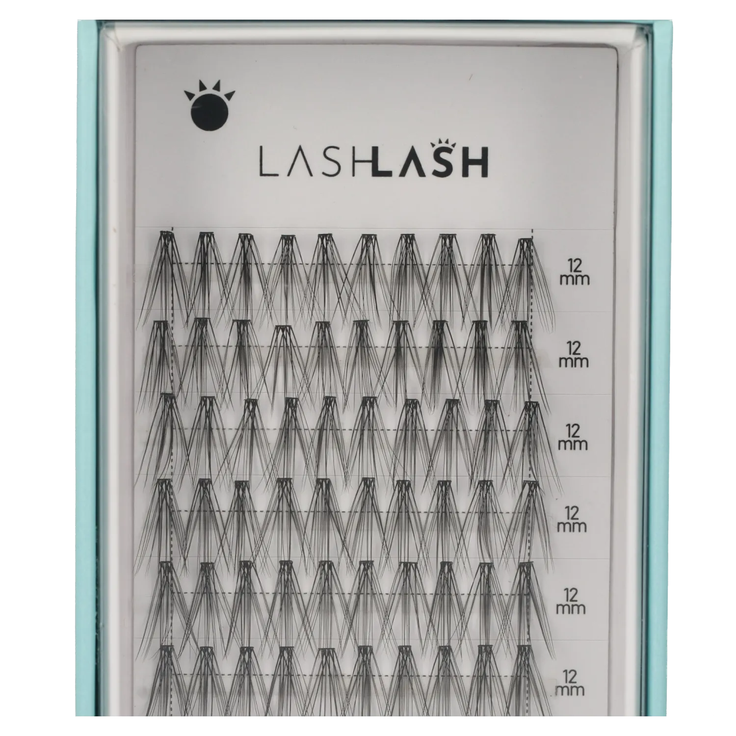 Maye 12 Individual Lashes