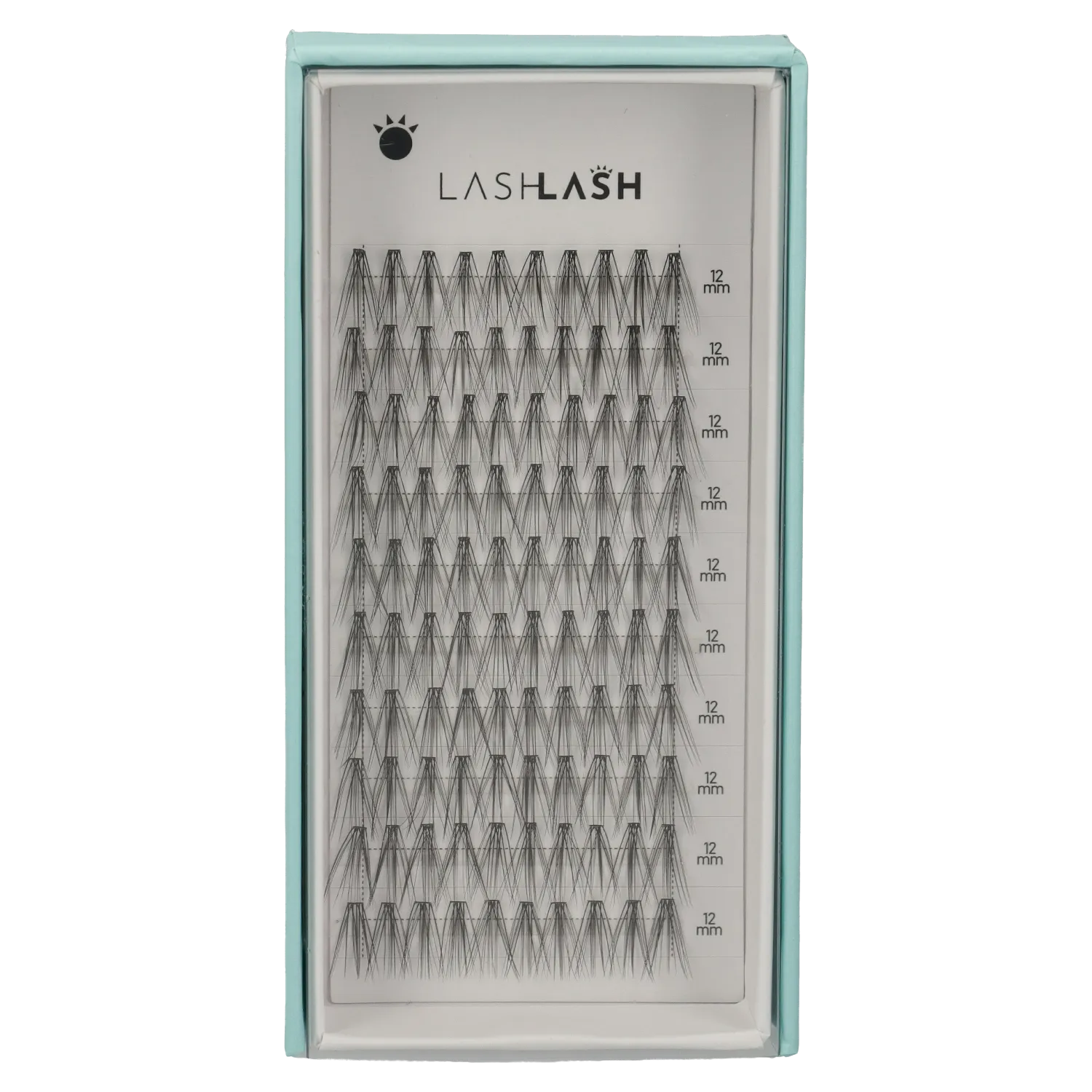 Maye 12 Individual Lashes