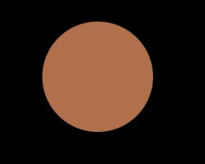 N95 COOL NEUTRAL DUAL POWDER