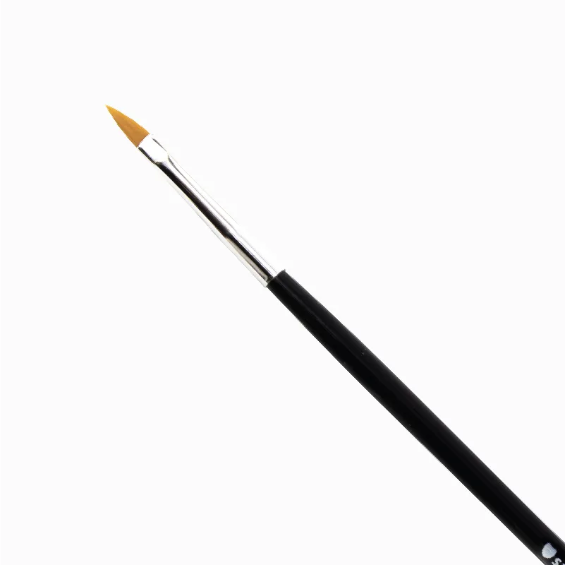 Nail Art Brush Set (10pcs)