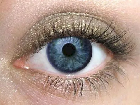 Olive Eyeshadow