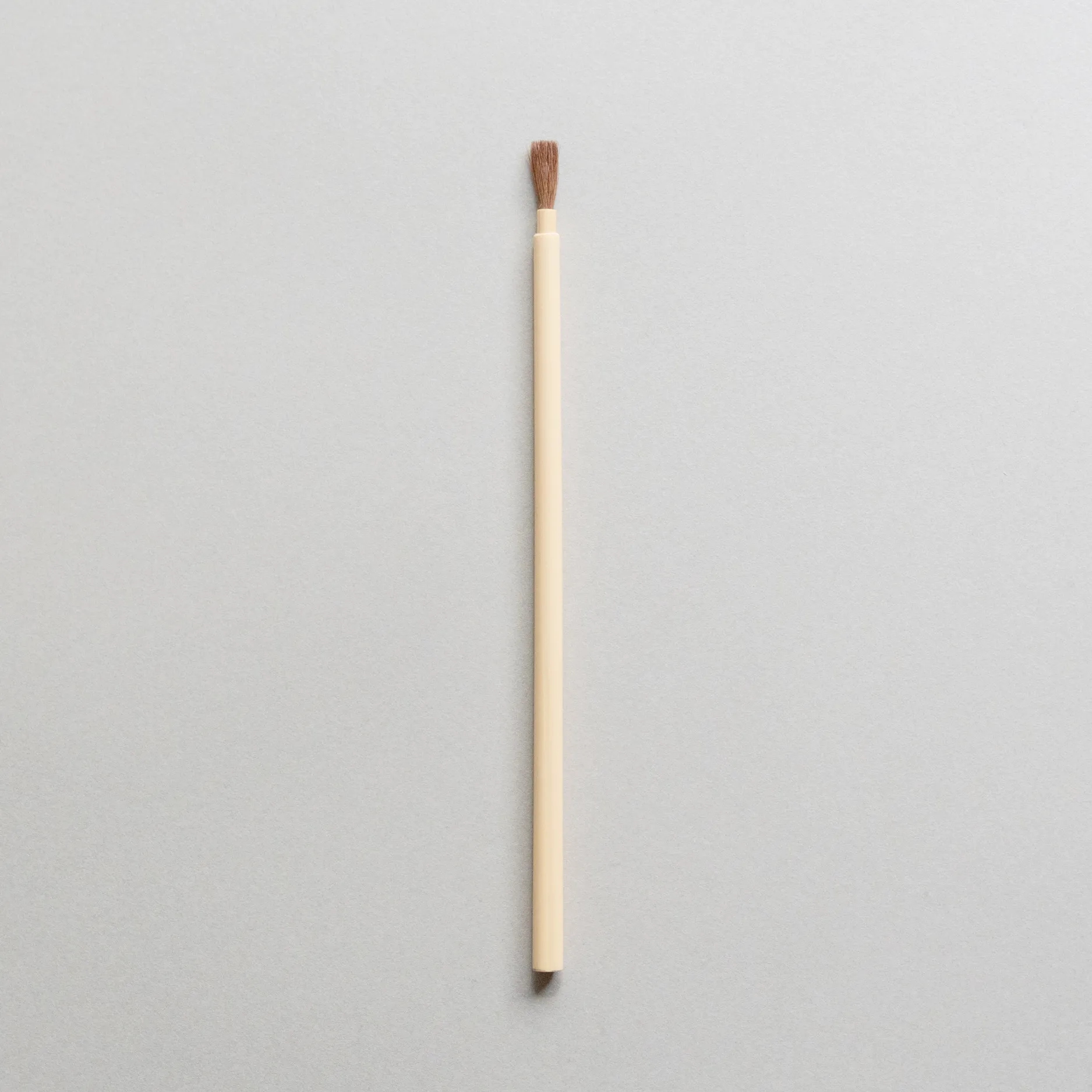 Powder Brush