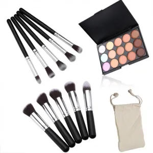 Professional 15 Colors Makeup Face Cream Concealer Palette   10 PCS Cosmetic Brushes Kit Set