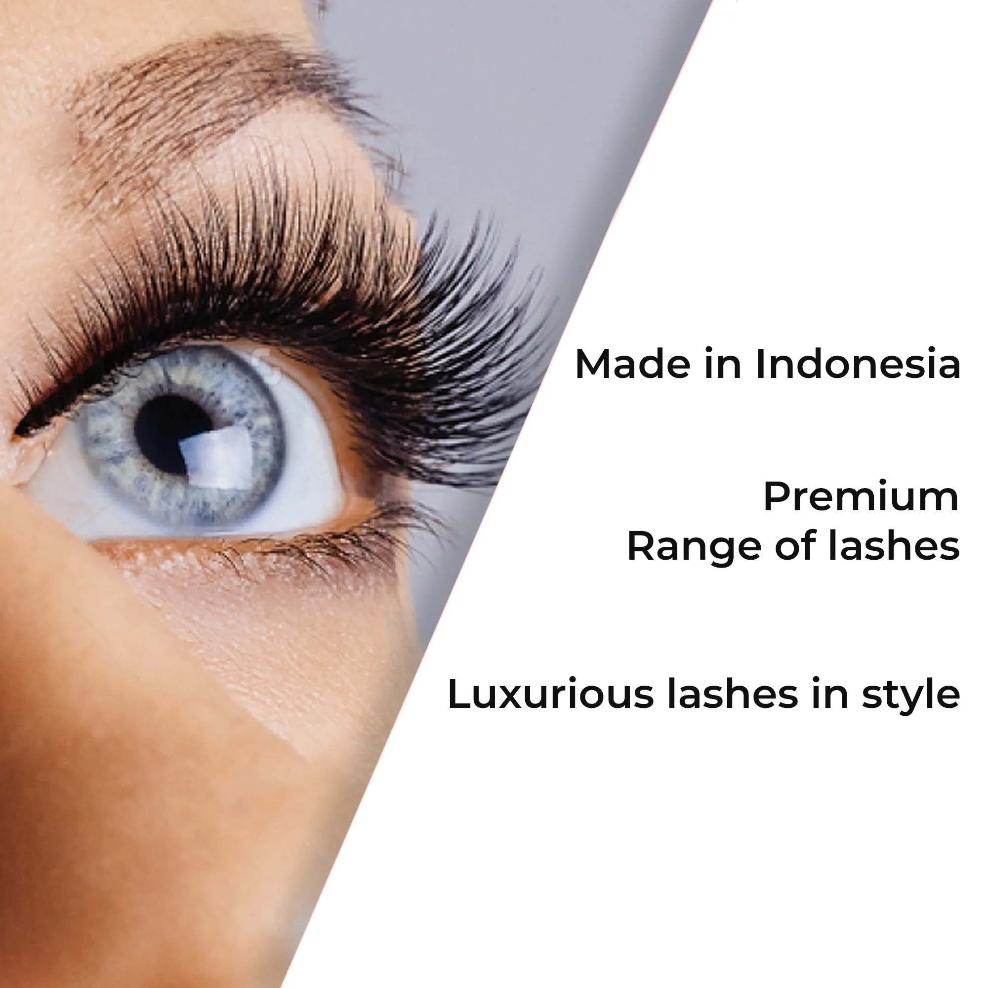 Professional Individual Lashes, 5 Ply Flare Black, Knot Free & Short For Natural Volume (BF1001-Short)