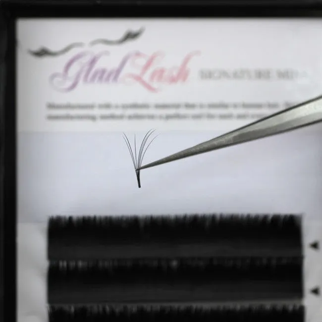 Rapid Fan Lashes - Volume - 12 Row