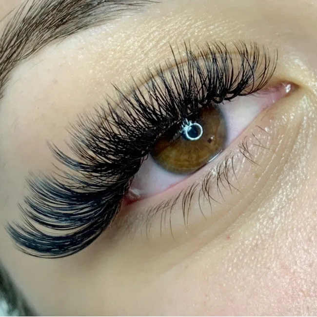 Rapid Fan Mixed Length Lashes - Mega Volume - 16 Row