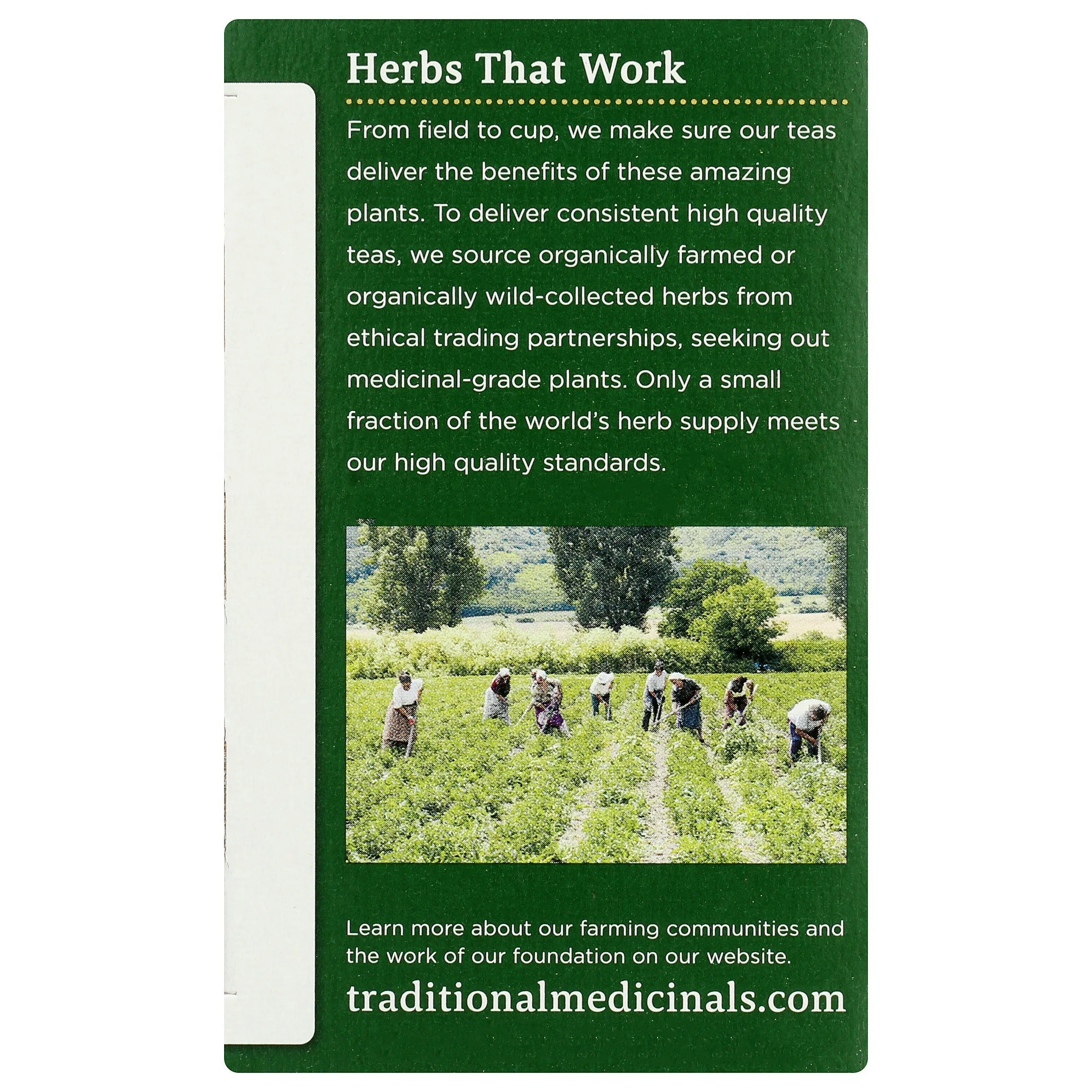 Red Clover Tea, Organic