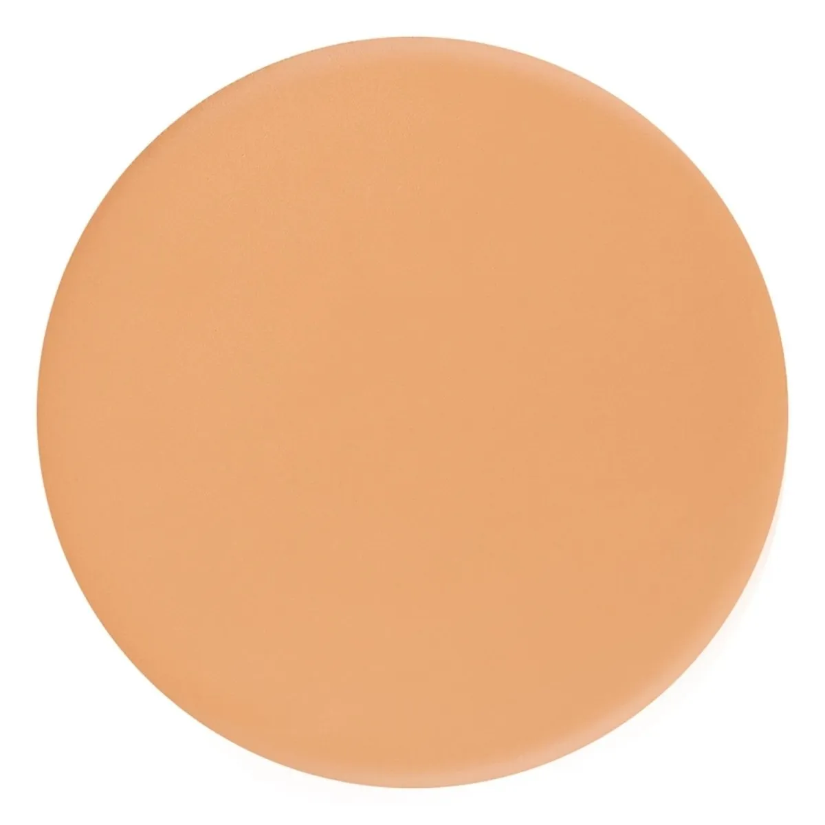 Silk Cream Foundation Palette
