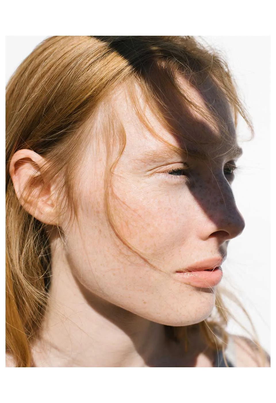 Silk Finish Powder-translucent
